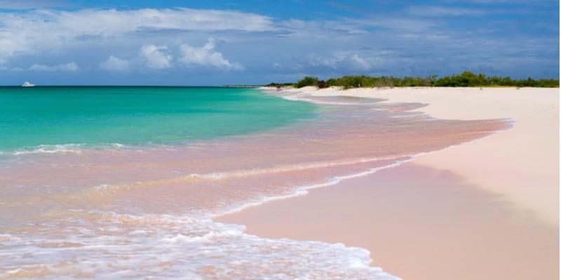 plage-de-sable-rose-barbuda-caraibes