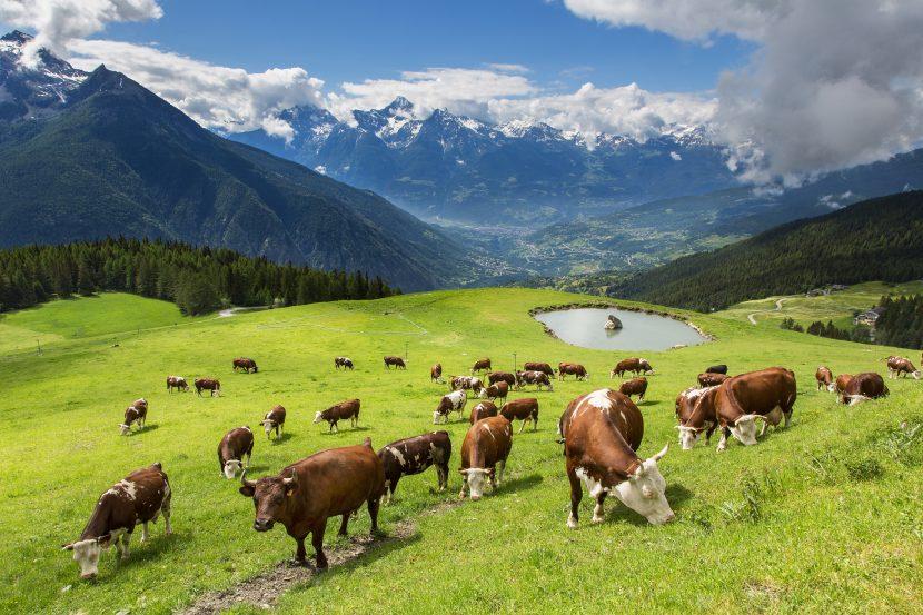 Valle de Aosta