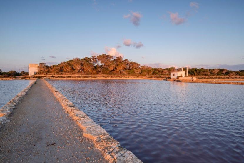 Ses Salines