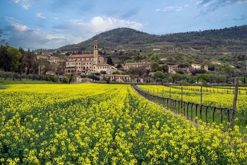 Arquà Petrarca