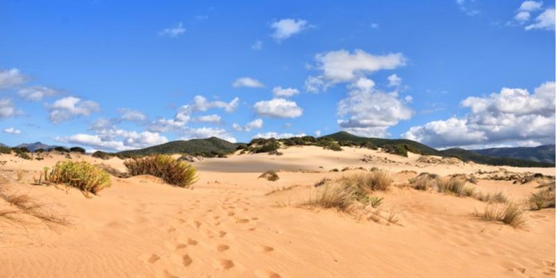 dune-di-piscinas_1