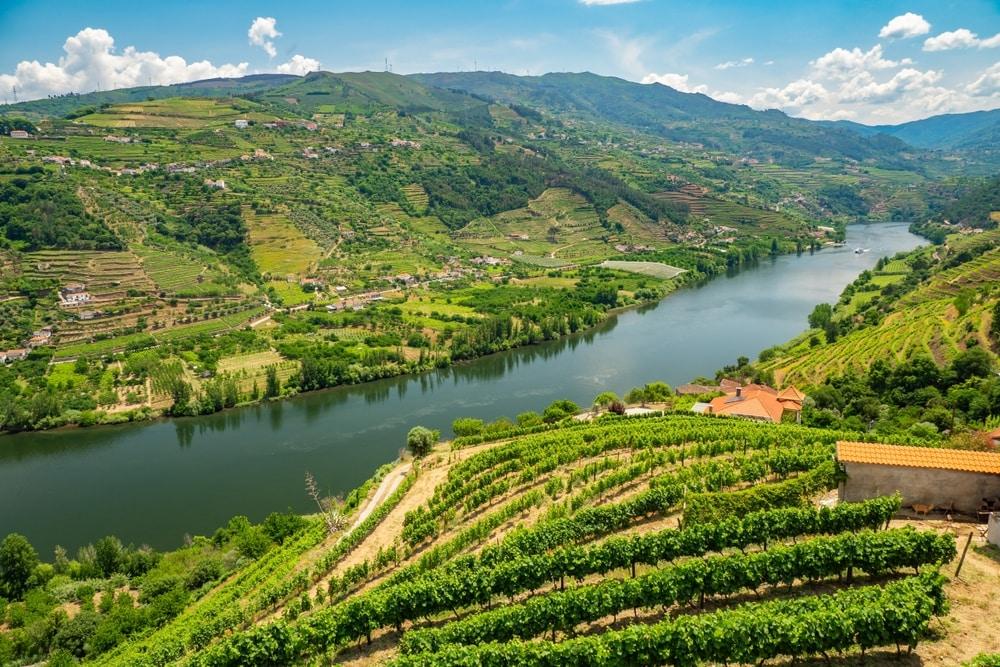 Douros Valley