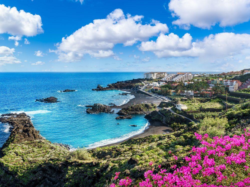 Canaries