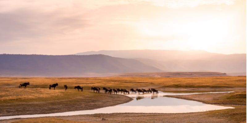 tanzania_1