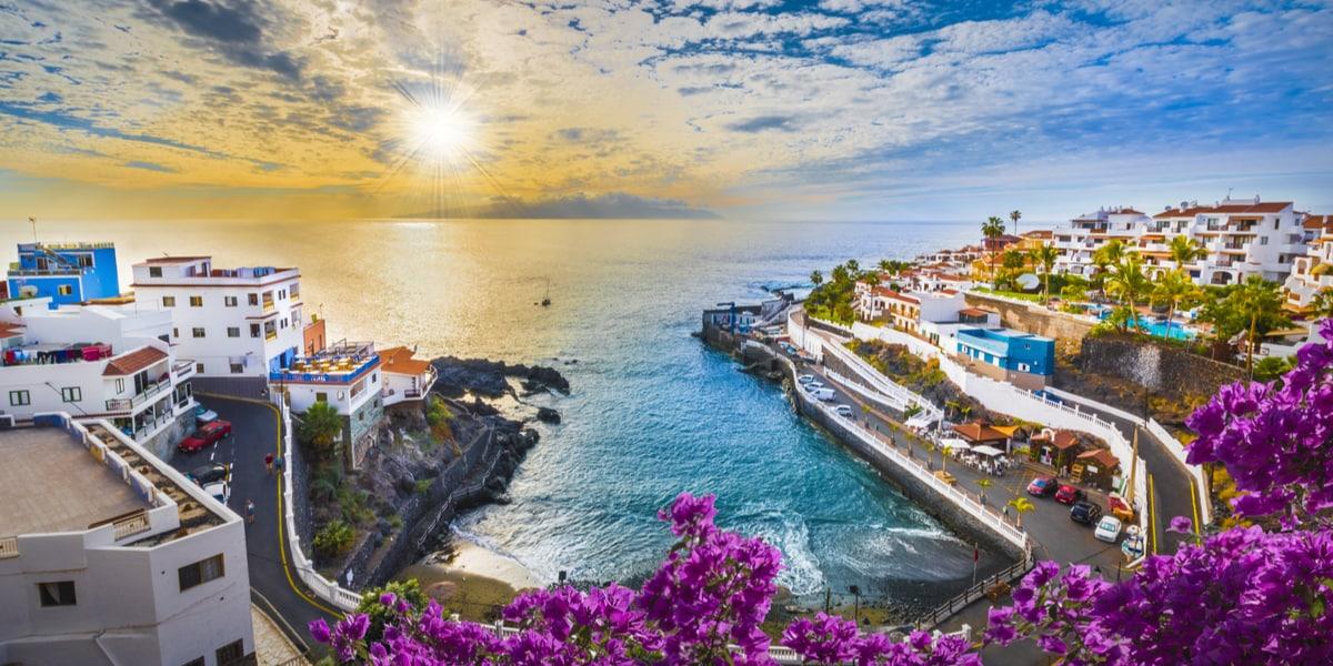 canaries_7