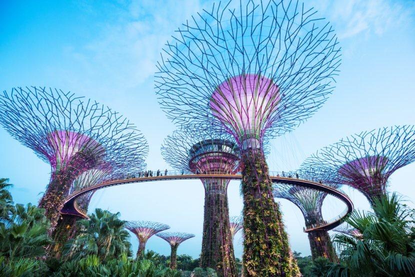 Gardens by the bay
