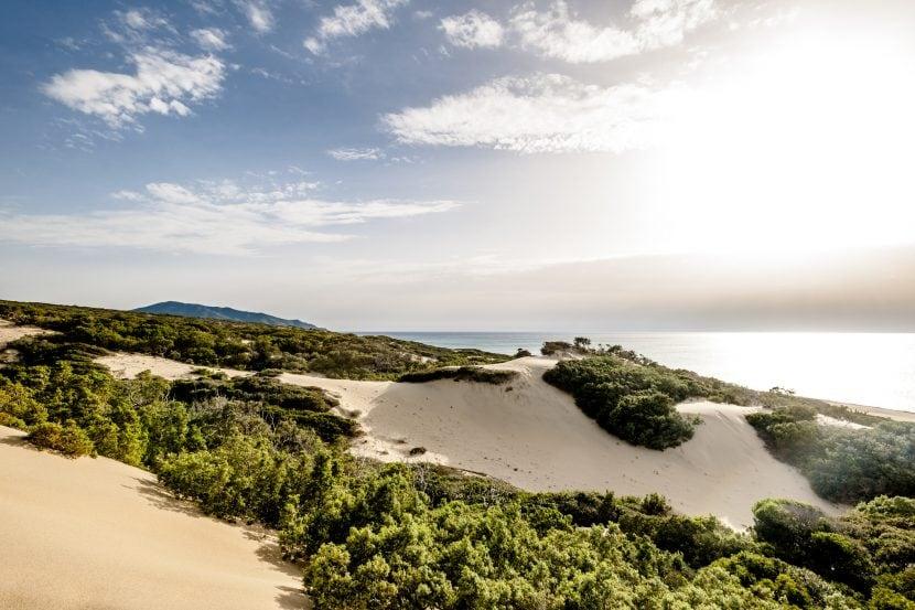 Dune di Piscinas