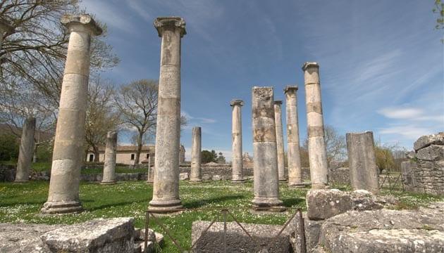 sepino_1