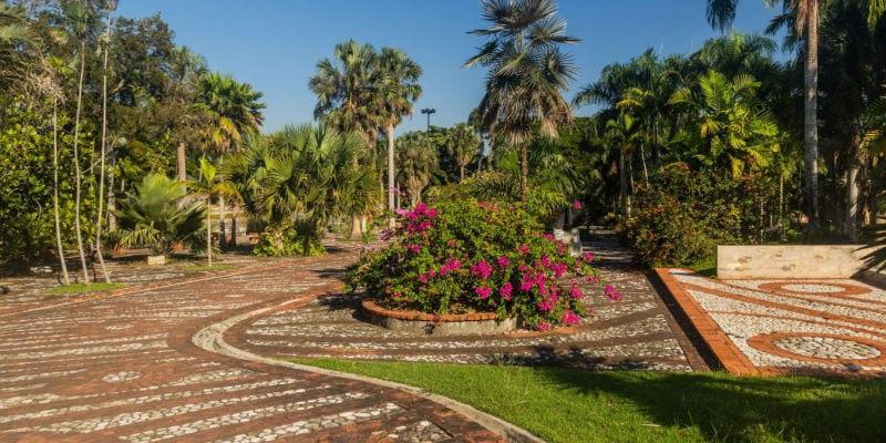 jardin-botanique