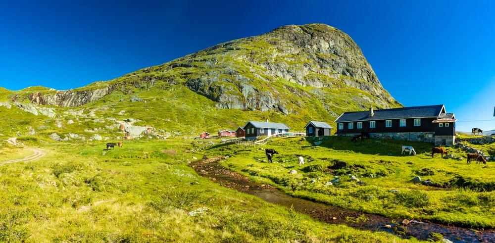 Parc National de Jotunheimen