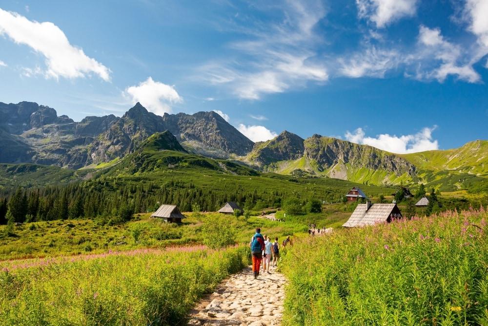 Tatra