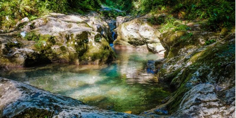 piscine-naturelle_1