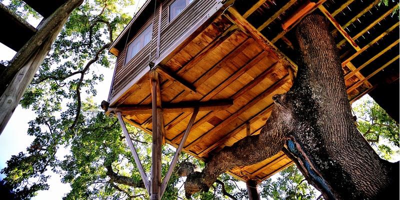 maison-arbre_3