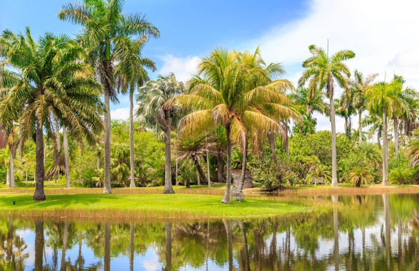 Parcs Miami