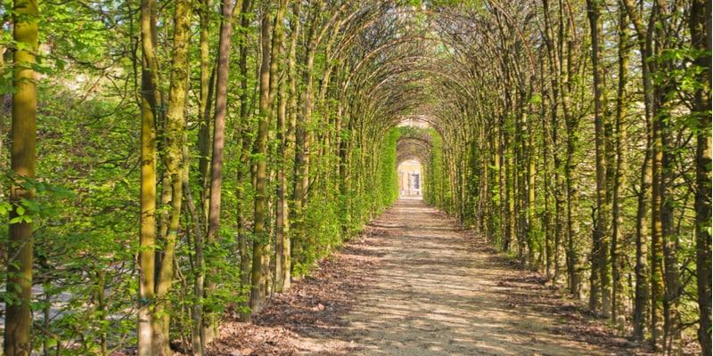 parco-ducale