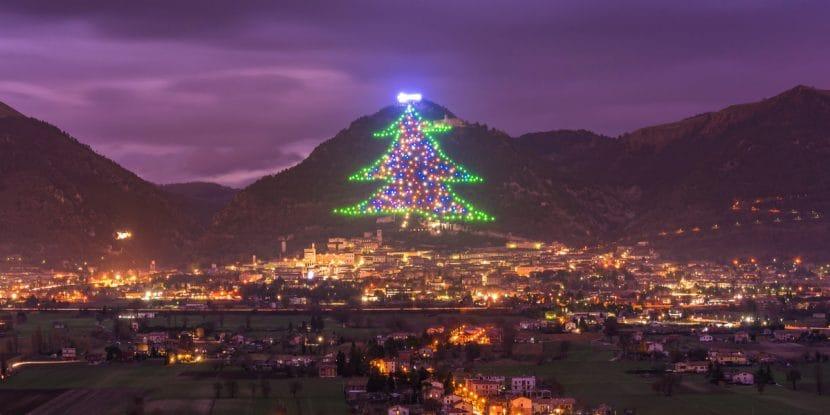 Albero di Gubbio