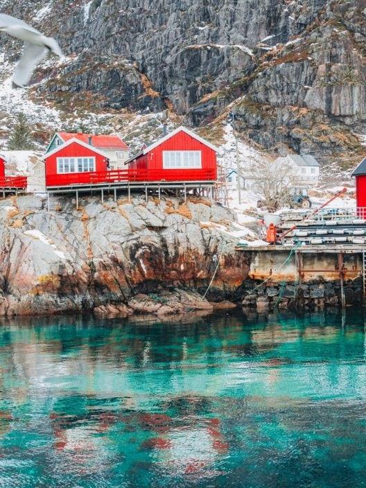 Îles Lofoten : que voir et quand aller dans ce paradis arctique