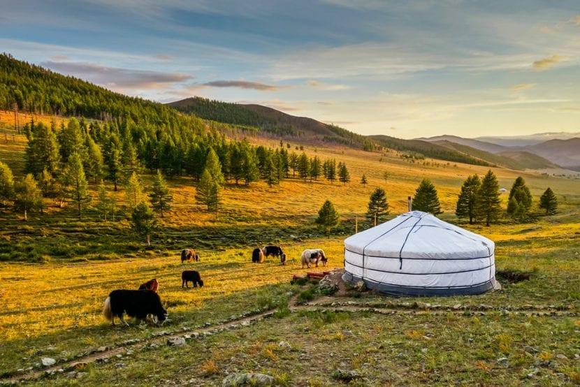 Mongolie