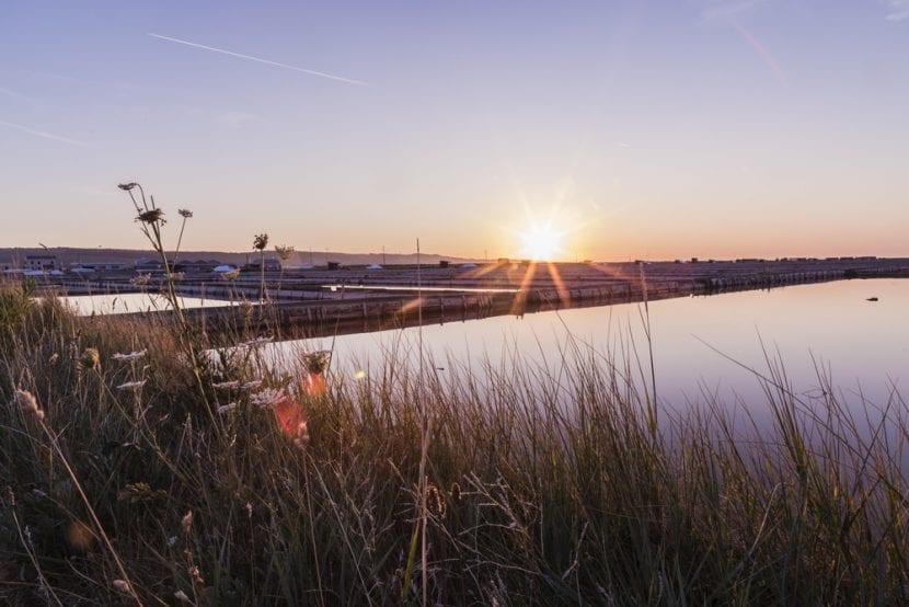 Saline de Sicciole
