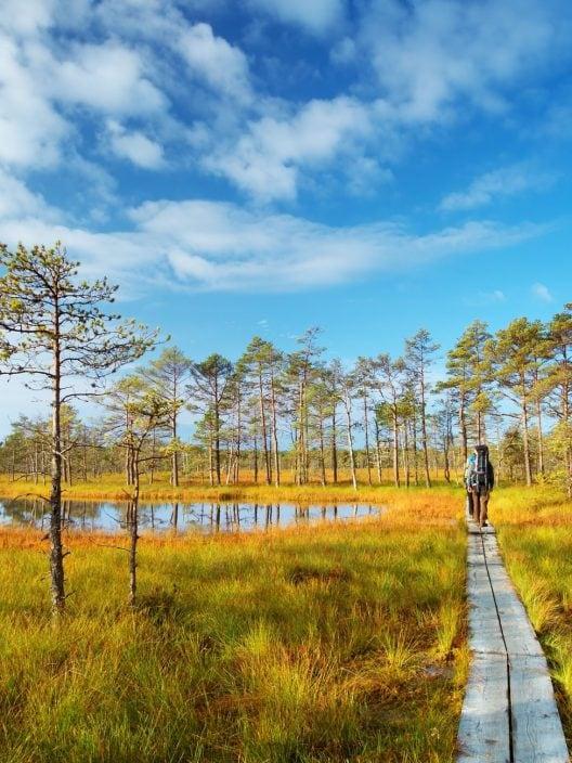 Prochaines vacances en Estonie : Que faire et voir dans le pays des merveilles