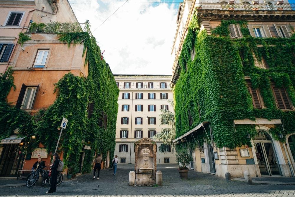 Monti