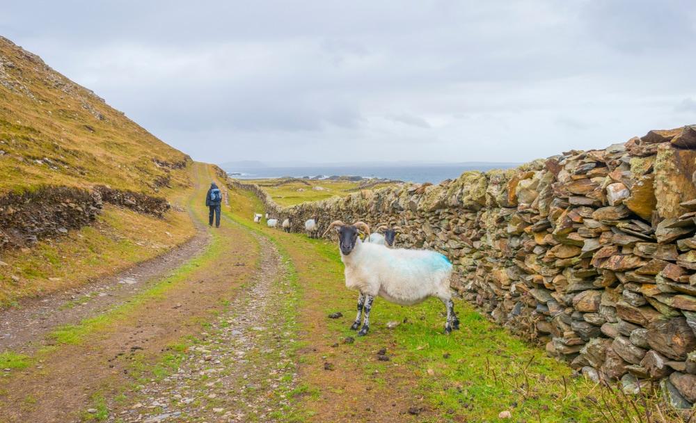 Inishbofin