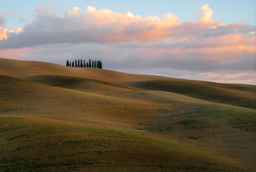 Colline des Cyprès