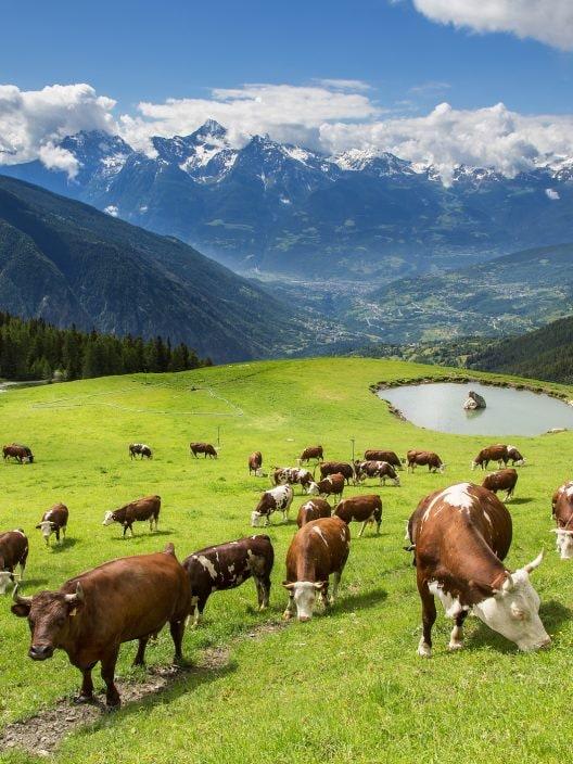 Pourquoi la Vallée d'Aoste s'appelle-t-elle ainsi ? Découvrez son histoire