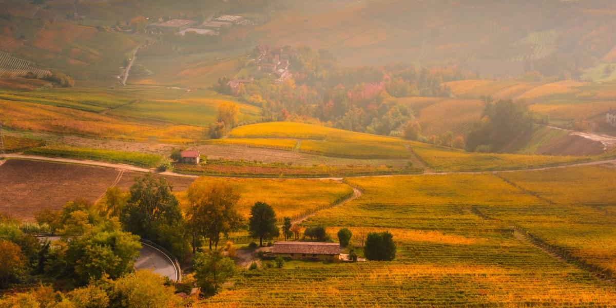 langhe_11