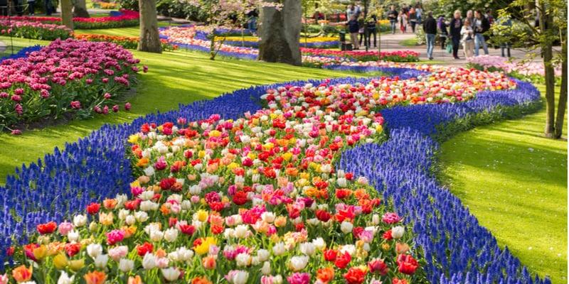 keukenhof_2