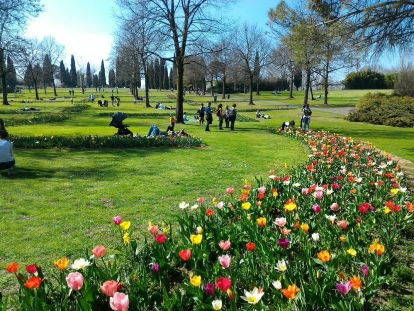 Tulipes au Parc Jardin Sigurtà