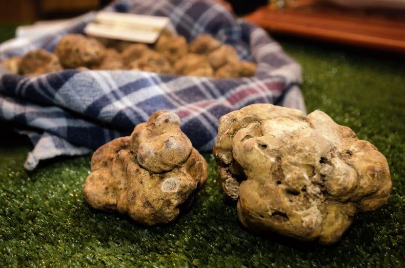 Foire nationale du Tartufo blanc d'Acqualagna