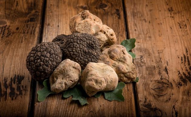 sagre-del-tartufo-italia