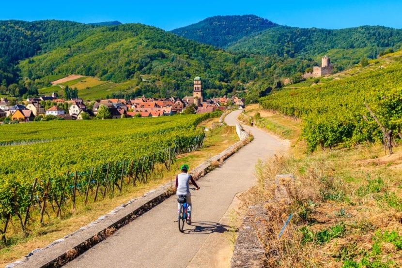 Route des Vins d'Alsace