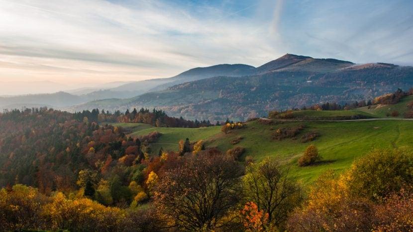 Vosges