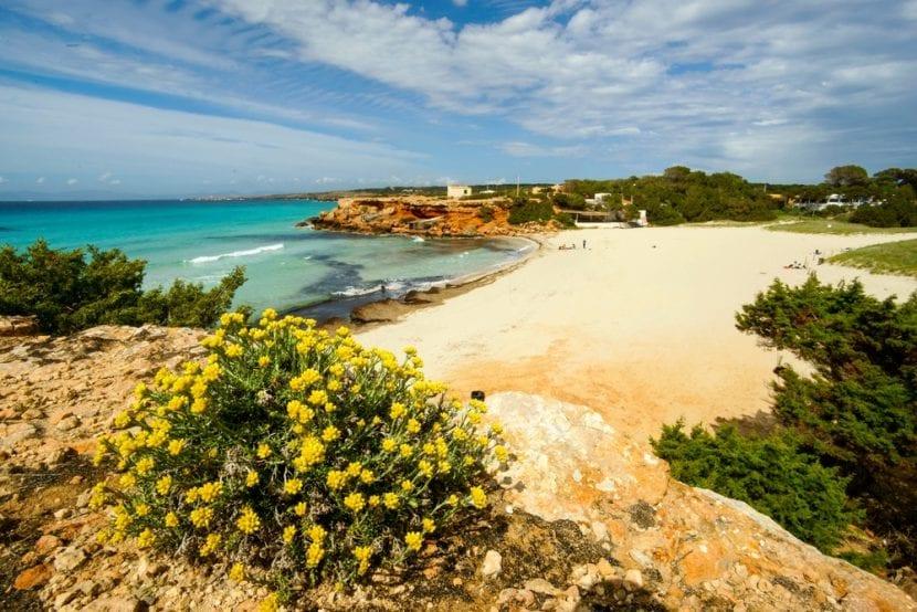 Cala Saona