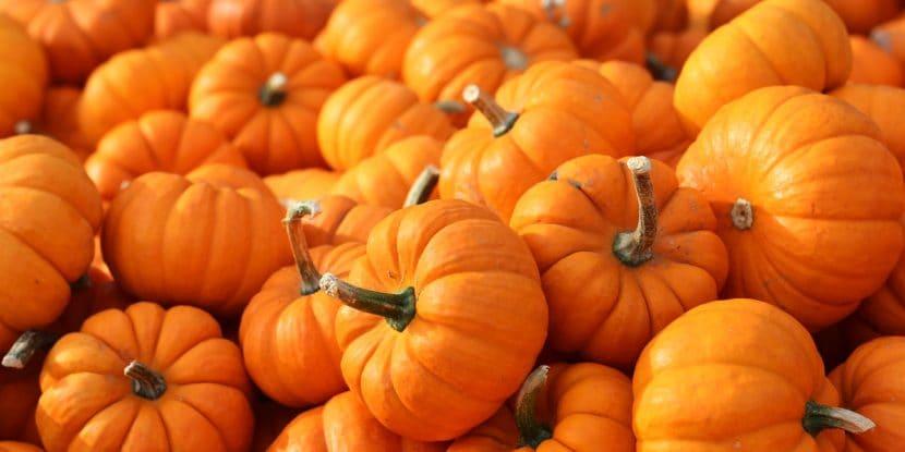 Citrouilles en Italie : où trouver et goûter les meilleures