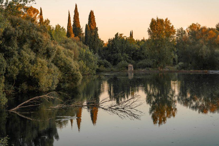 Jardin de Ninfa