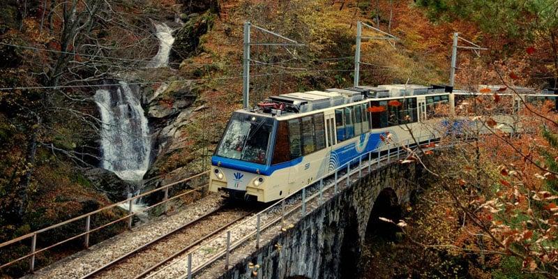 train-foliage_2