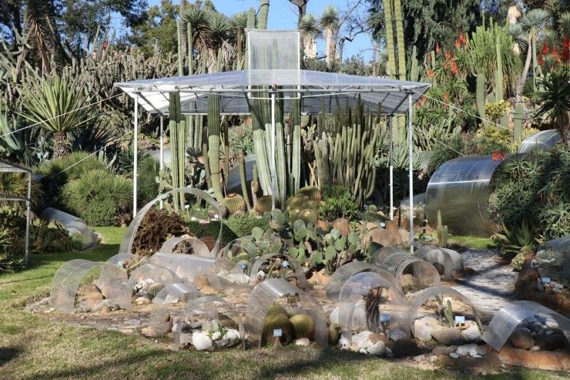 Jardín Botánico