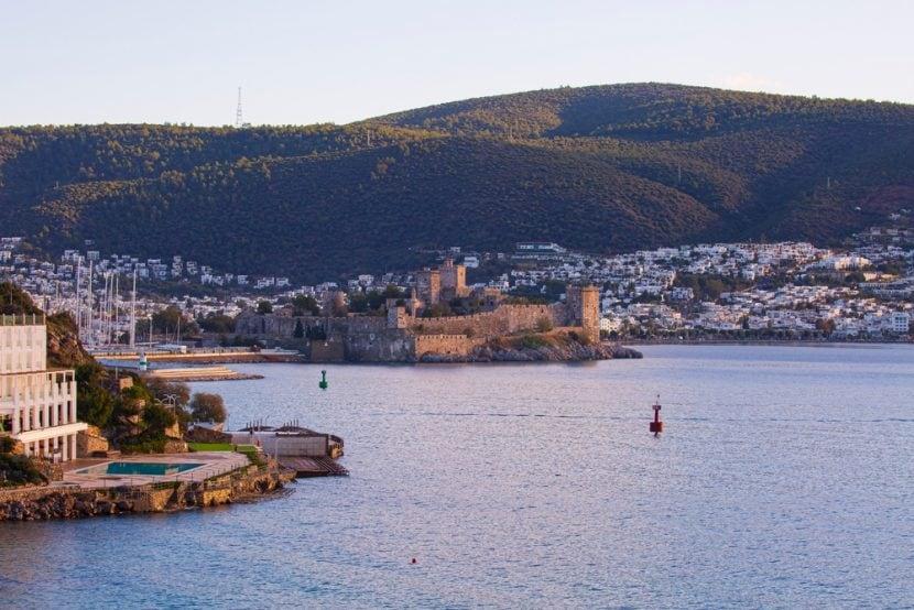 Bardakci