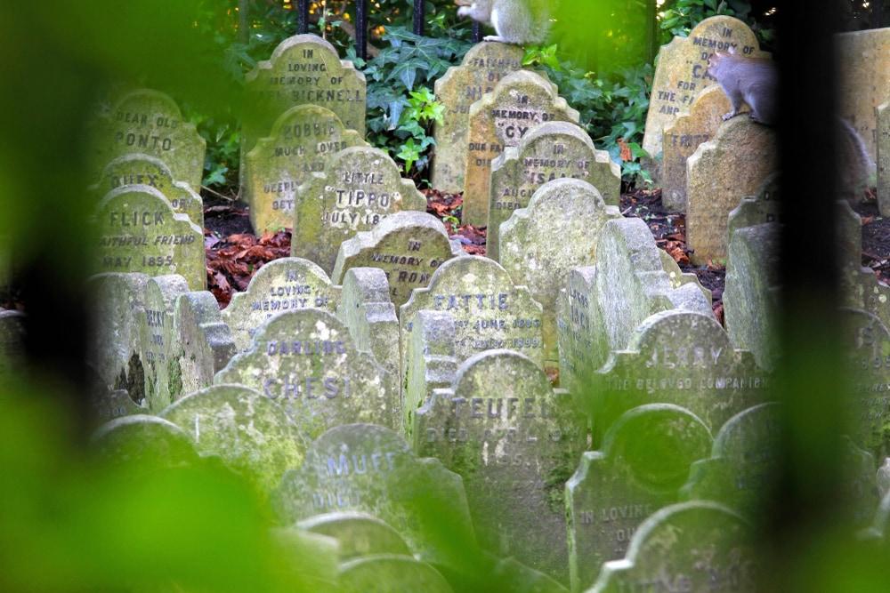 Cimetière des animaux de compagnie
