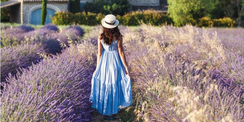 photo-provence