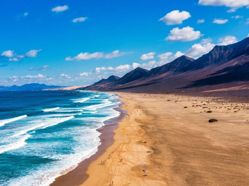 canaries baignade en hiver