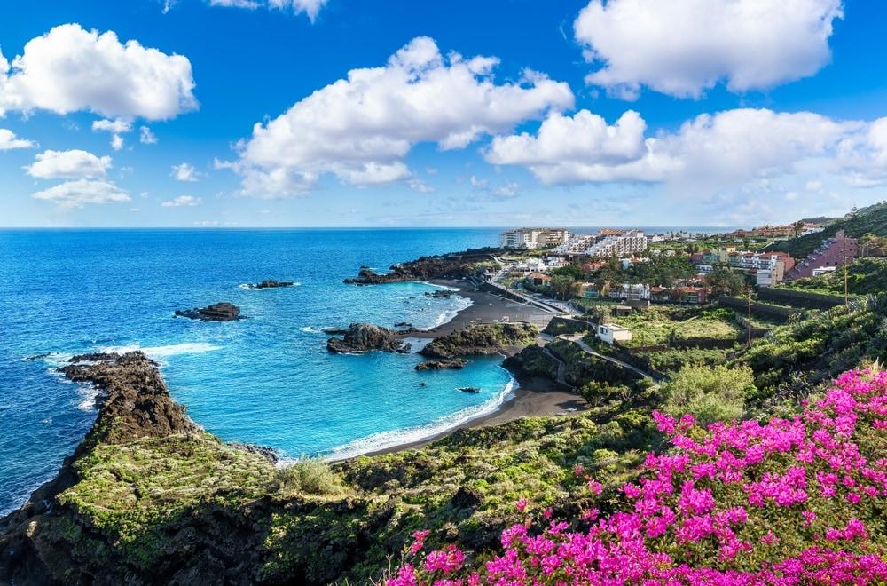 Canaries en Janvier