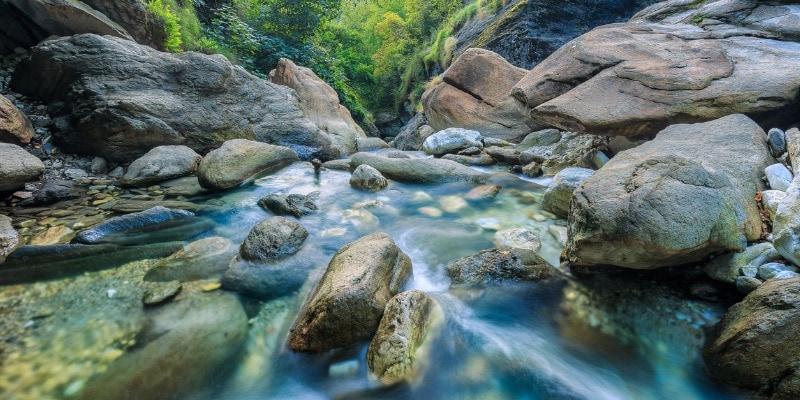 malbacco-torrente