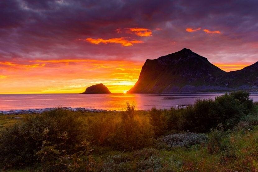Vik