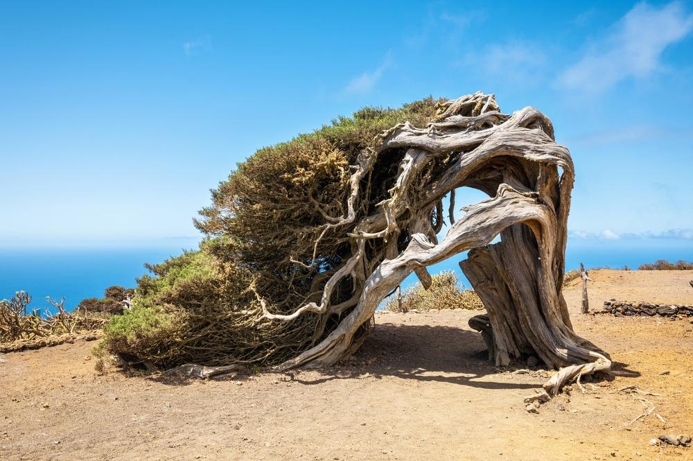 El Hierro