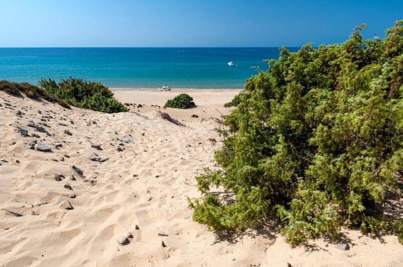 Dunes de Piscinas