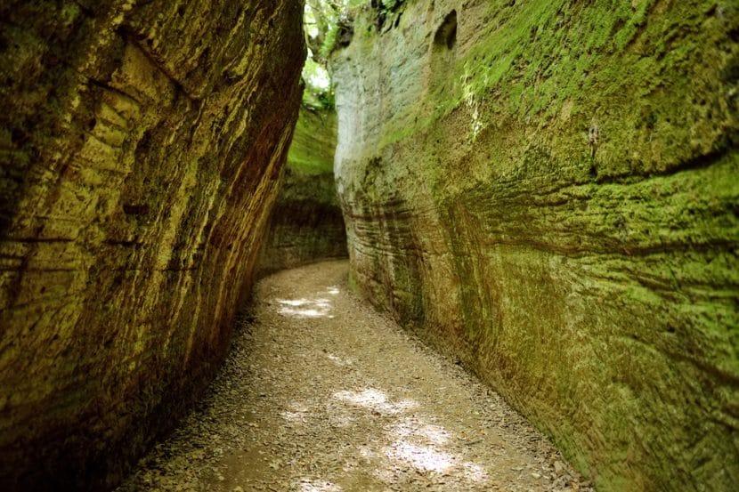 Vie Cave